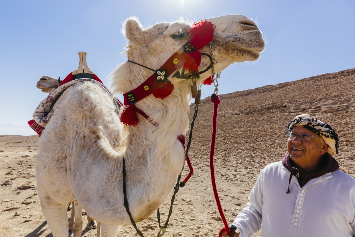 Camel_2_Six_Senses_Shaharut_Travel_Deluxe