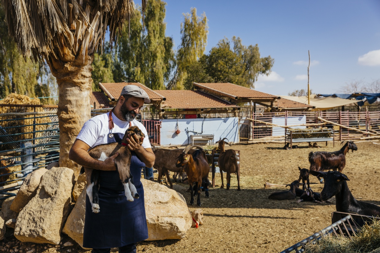 Kibbutz_Six_Senses_Shaharut_Travel_Deluxe